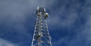 Torrijiet ċellulari li jsostnu lilhom infushom