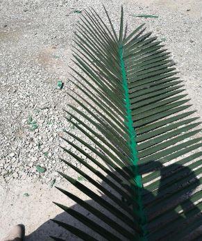 Torri tal-Komunikazzjoni tal-Kamuflaġġ tal-Palm