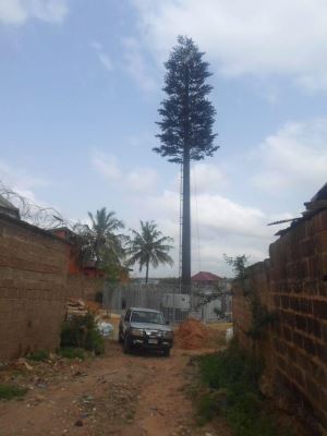 Torri Camouflaged Telecom Torri tas-Siġra Artifiċjali Bjonika