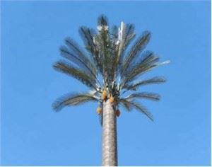 Weraq tal-Palm Għal Torri taċ-Ċelloli Moħbi